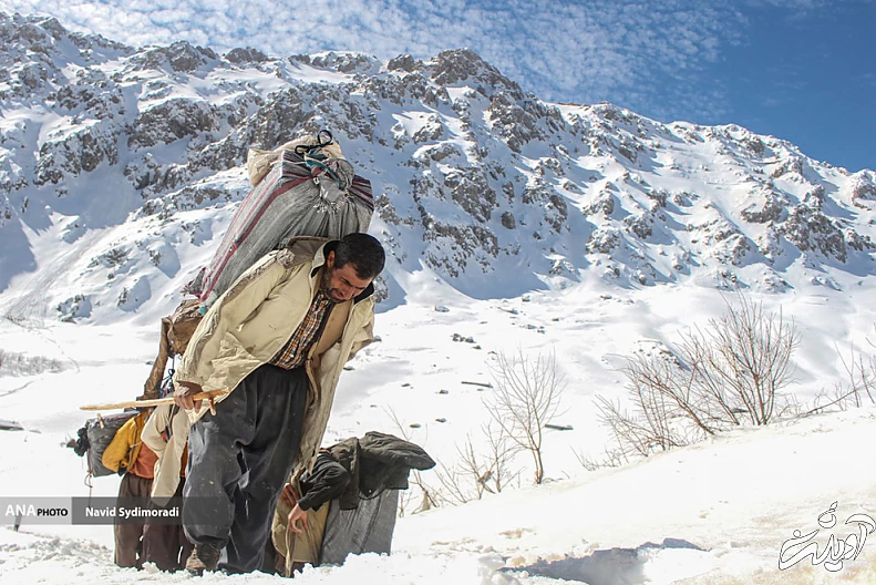 (تصاویر) کولبران کردستان